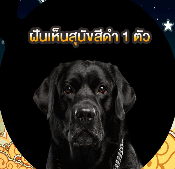 ฝันเห็นสุนัขสีดำ 1 ตัว-''Dreaming of seeing a black dog lucky number''