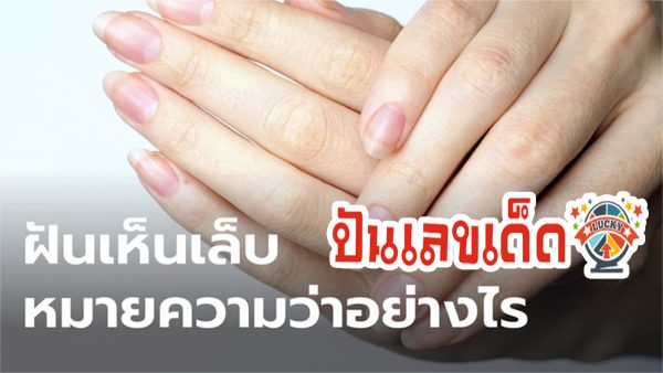 ฝันว่าเล็บฉีกนิ้วก้อย ทำนายฝันว่าอย่างไร รวมเลขเด็ดแม่น ๆ เลขมงคล ทำนายฝัน เตรียมรับทรัพย์ หวยงวดนี้