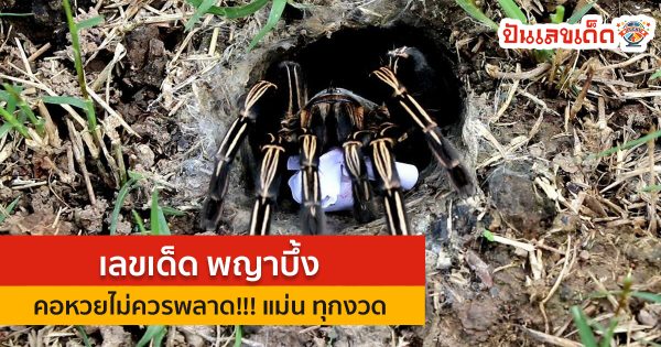 เลขเด็ด เลขพญาบึ้ง งวดวันที่ 30 ธันวาคม 2566 คอหวย ห้ามพลาด ส่องหวยเด็ด เลขเด่น 2ตัว แนวทางแม่น ๆ รีบจดด่วน !!!
