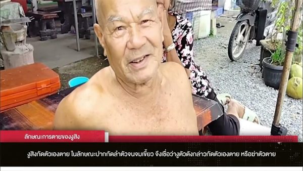 งูสิงกัดตัวเองจมเขี้ยว-"The snake bites itself and sinks its fangs."