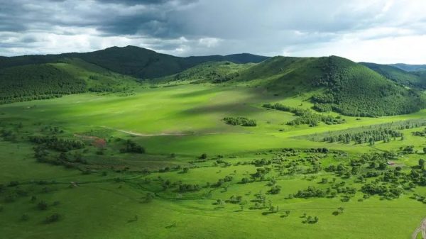 ฝันเห็นภูเขาเขียวขจี-"Dream of seeing green mountains"