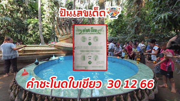คำชะโนดใบเขียว  30 12 66 คอหวยห้ามพลาดส่องเลขเด็ด! แม่นๆ แนวทางหวยรัฐบาลไทย คอหวยรีบจดด่วนเลย!!