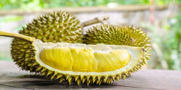 ฝันเห็นทุเรียนลูกใหญ่-''Dream of seeing a big durian''