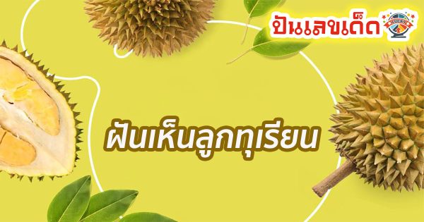 ฝันเห็นลูกทุเรียน หมายความว่าอย่างไร พร้อมเลขเด็ด แม่นๆ ที่เกี่ยวกับความฝัน เช็กเลย!