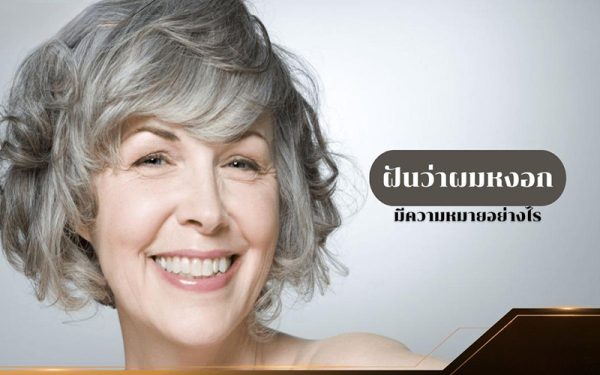 ฝันว่าผมหงอก-"Dreamed that I had gray hair"