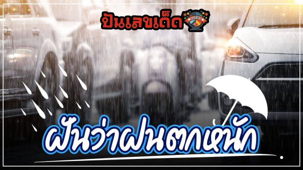 ฝันว่าฝนตกหนัก ทำนายฝันว่าฝนตก ฝันว่าฝนตกหนัก ฝนตกน้ำท่วม สื่อถึงอะไร? มาดูคำทำนายฝันพร้อมเลขเด็ด แม่นๆ กันได้แล้วที่นี่!!