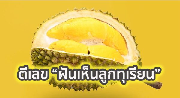 ฝันเห็นลูกทุเรียนเลขเด็ด-''Dreaming of seeing durian fruit lucky number''