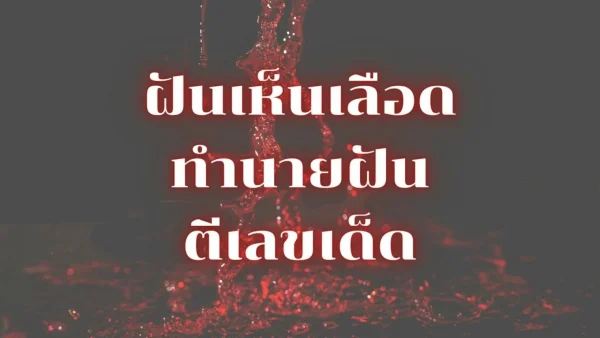 ทำนายฝัน เห็นเลือดประจำเดือนเลขเด็ด -"Dreaming of seeing menstrual blood, lucky numbers"