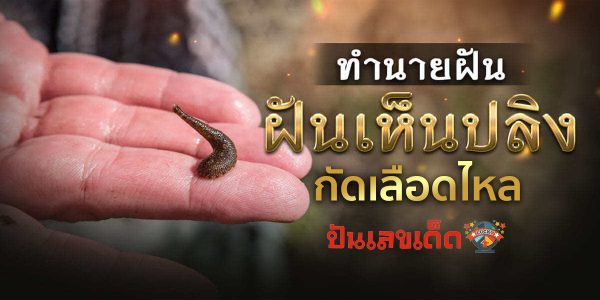 ฝันว่าปลิงกัดเลือดไหล ทำนายฝันหมายความว่าอย่างไร ว่าแล้วเราไปดูดวง จากคำทำนายฝันฝันเห็นปลิง พร้อมเลขเด็ดงวดนี้กันเลย