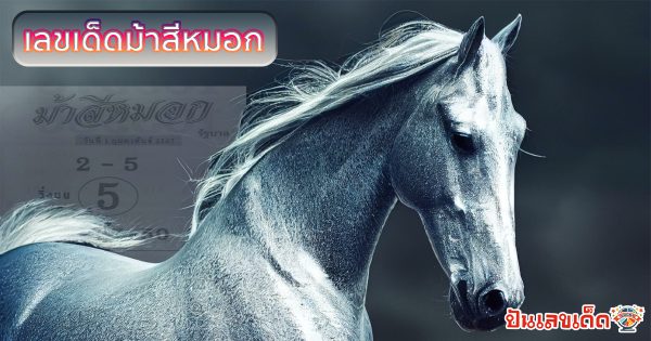 เลขม้าสีหมอก 1 02 67 แม่น ๆ งวดนี้ คอหวยห้ามพลาดเด็ดขาด ดูฟรีที่นี่  ก่อนใคร !!