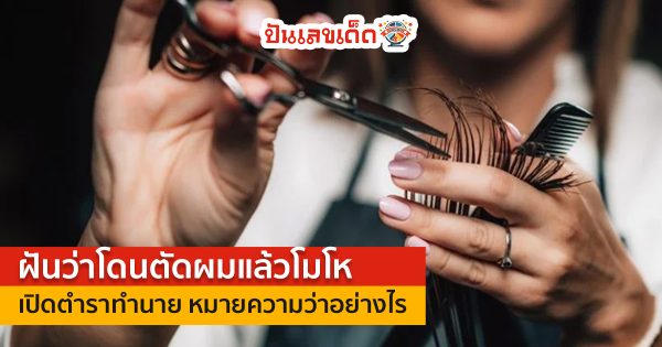 ฝันว่าโดนตัดผมแล้วโมโห ทำนายฝัน หมายถึงอะไร พร้อมตีเลขเด็ดจากฝัน คอหวยไม่ควรพลาด
