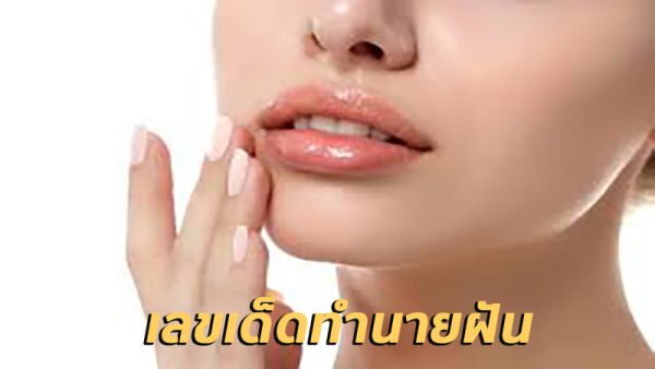 เลขเด็ดทำนายฝัน-"Lucky numbers for dream interpretation"
