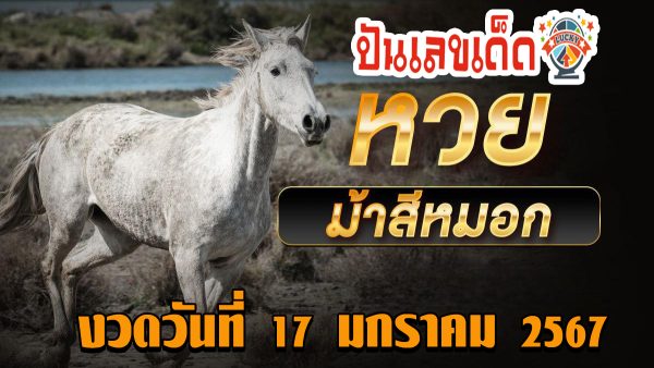 เลขม้าสีหมอก งวดวันที่ 17 มกราคม 2567 คอหวยห้ามพลาดส่องเลขเด็ด 2ตัว 3ตัว แนวทางแม่นๆรีบจดด่วน