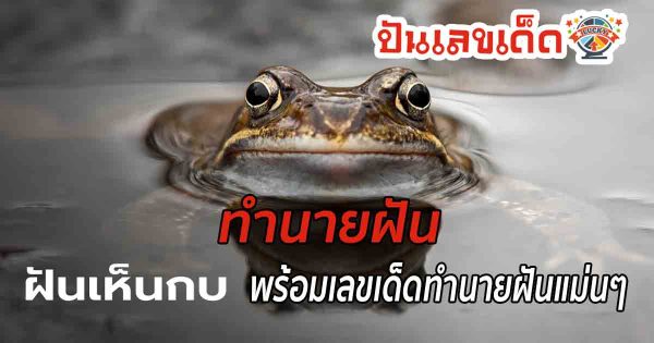 ฝันเห็นกบ 1 ตัว  ฝันเห็นกบตัวใหญ่ ฝันเห็นกบหลายตัว ฝันว่าจับกบ ทำนายฝันว่าอะไร พร้อมเลขโชคลาภ