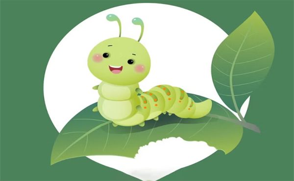 ฝันเห็นหนอนเยอะมาก-"Dream of seeing a worm"