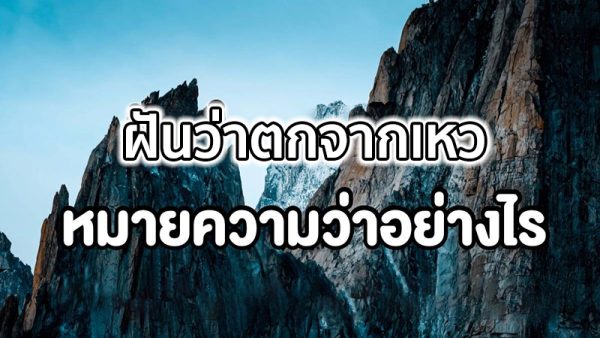 ฝันว่าตกเหว -"Dreamed of falling into the abyss"