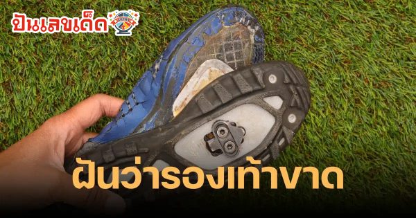 ฝันว่ารองเท้าแตะขาด1ข้าง ฝันว่ารองเท้าขาด ข้างซ้าย-ข้างขวา ตีความหมาย วิเคราะห์เลขเด็ดที่ควรซื้อ
