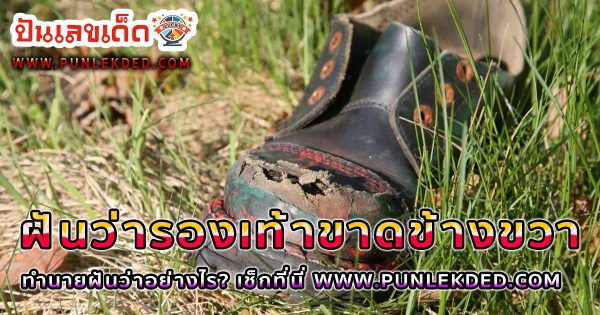 ฝันว่ารองเท้าขาดข้างขวา ทำนายว่าอย่างไร? พร้อมตีเลขเด็ด ตามความฝัน ดูคำทำนาย แม่น ๆ ได้ที่นี่ punlekded