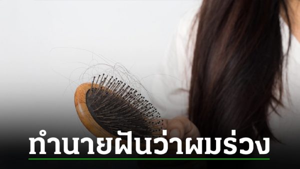 ฝันว่าผมร่วงเป็นกระจุก-"Dreaming that your hair is falling out in clumps-"