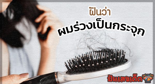 ฝันว่าผมร่วงเป็นกระจุก เลขเด็ด พร้อมลางบอกเหตุอันน่าตกใจ!
