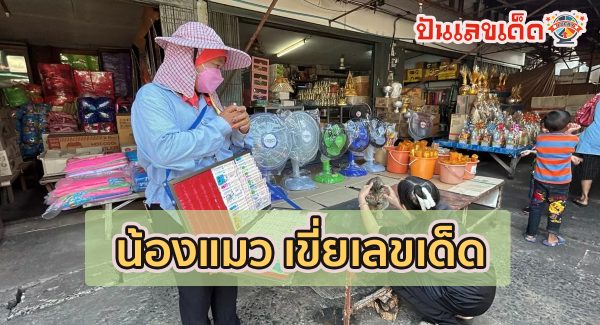 เอ็นดูไม่ไหว “น้องแมว” เขี่ยบอก “เลขเด็ดงวดนี้” 1/2/67 คอหวยเชื่อมาให้โชค