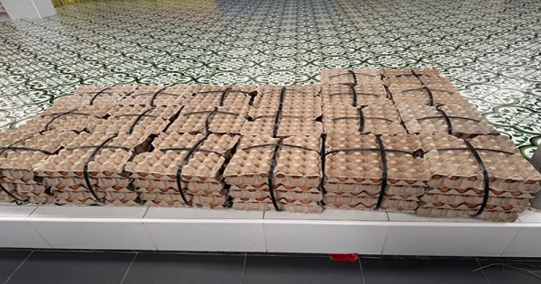 ไข่ไก่ 100 แผงมาถวายปู่ฤาษีพรหมเมศ - "100 packets of chicken eggs offered to Grandfather Ruesi Phrommet"