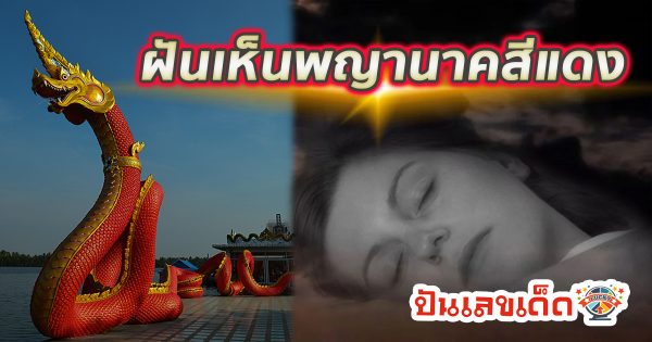 ฝันเห็นพญานาคสีแดง หมายความว่าอย่างไร พร้อมเลขเด็ด แม่นๆ ที่เกี่ยวกับความฝัน เช็กเลย!