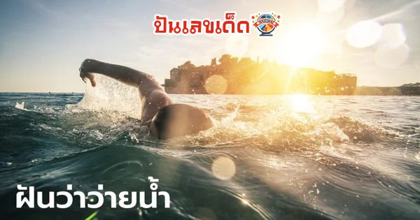 ฝันว่าว่ายน้ําในคลองน้ำขุ่น เลขเด็ดฝันเห็นว่ายน้ำในคลองน้ำขุ่น ทำนายฝันว่ายน้ำในคลองน้ำขุ่น แม่นๆ