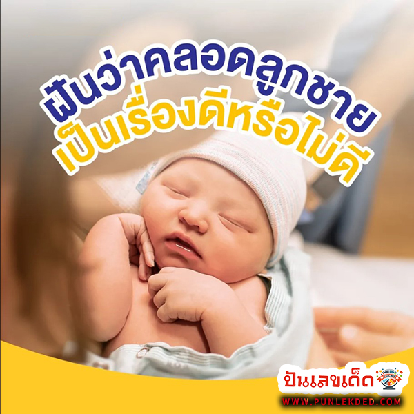 ฝันว่าคลอดลูกชายน่ารัก - "Dreamed of giving birth to a cute son"