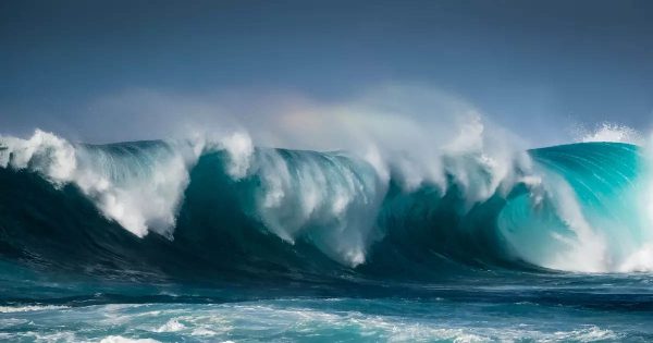 ฝันเห็นคลื่นสึนามิใหญ่มาก - "Dreamed of seeing a very large tsunami wave."