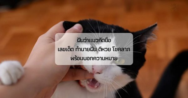 ฝันว่าแมวกัดมือ-"Dreamed that a cat bit your hand"