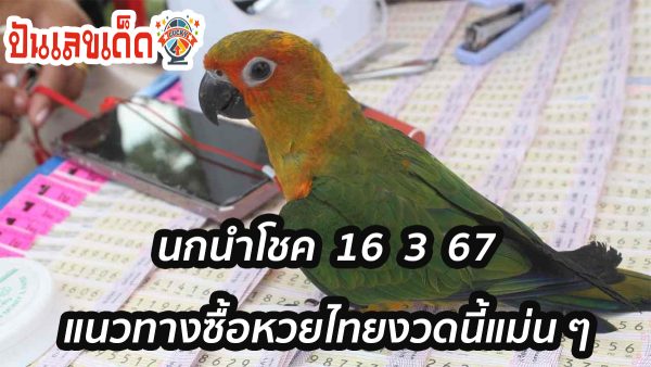 นกนำโชค 16 3 67 แนวทางซื้อหวยไทยงวดนี้แม่น ๆ รีบตามด่วน !!! เช็กเลขเด็ดก่อนใคร ที่นี่ ปันเลขเด็ด