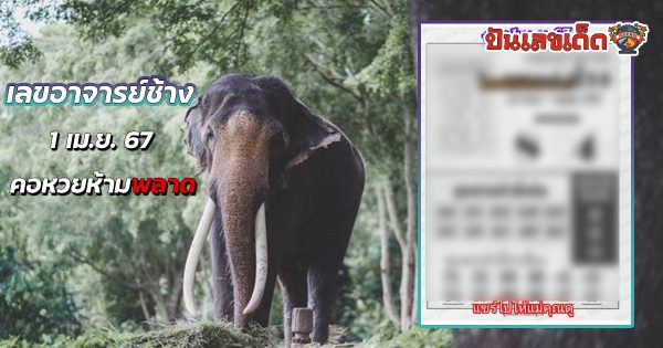 เลขอาจารย์ช้าง  1 4 67 คอหวยห้ามพลาดส่องเลขเด็ด แนวทางหวยรัฐบาลไทยแม่นๆ รีบจดด่วน!!