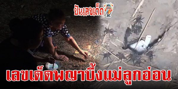 พญาบึ้ง แม่ลูกอ่อน ไม่ผิดหวัง! ทำพิธีขอโชค พญาบึ้ง แม่ลูกอ่อน ลุ้นนับชั่วโมง ดันขึ้นจากรู 4 ตัว