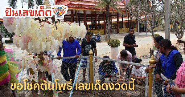 ขอโชคต้นโพธิ์ ใบเงินใบชมพู วัดทุ่งแฝก อึ้ง “เลขเด็ด” งวด 1/4/67 คอหวยไม่พลาดส่อง เลขเด็ดงวดนี้