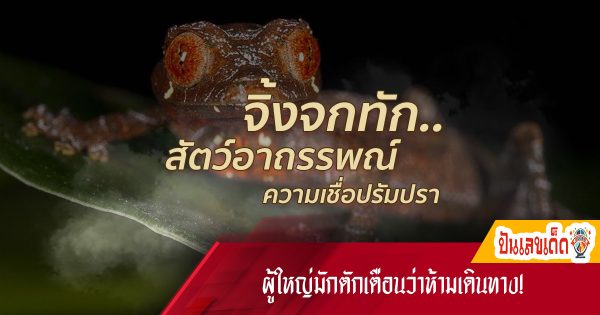 เพราะเหตุใด จิ้งจกร้องทัก .. ผู้ใหญ่มักตักเตือนว่าห้ามเดินทาง!  เป็นลางบอกเหตุร้ายจริงหรือความเชื่อ