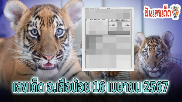 อ.เสือน้อย 16 4 67 งวดวันที่ 16 เมษายน 2567 คอหวยห้ามพลาดส่องเลขเด็ด 2ตัว 3ตัว แนวทางแม่น ๆ จดด่วน !!