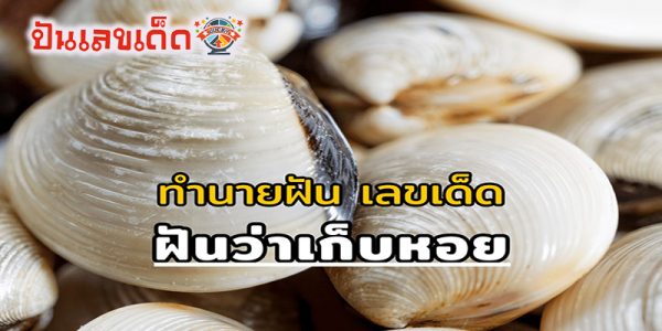 ฝันเห็นจับหอย-"Dream about catching shellfish"