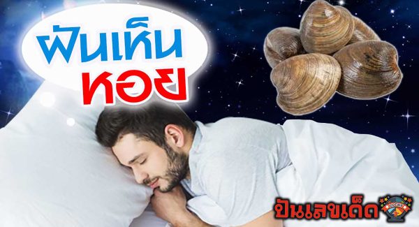 ฝันเห็นจับหอย ทำนายฝันแม่นๆ ฝันเหล่านี้ มีความหมายดี หรือร้าย เป็นลางบอกเหตุด้านไหน จะมีโชคลาภ เช็กเลย !!