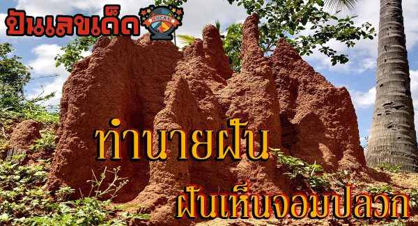 ฝันเห็นจอมปลวก มีความหมายว่าอย่างไร พร้อมเลขเด็ด แม่นๆ ที่เกี่ยวกับความฝัน เช็กเลย ที่นี่่!!