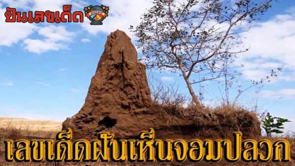 ฝันเห็นปลวกสีขาว-"Dream of seeing white termites"