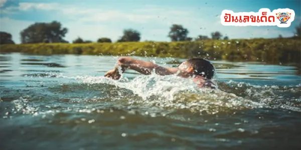 ฝันว่าว่ายน้ำในลำธาร-"Dream of swimming in a stream"