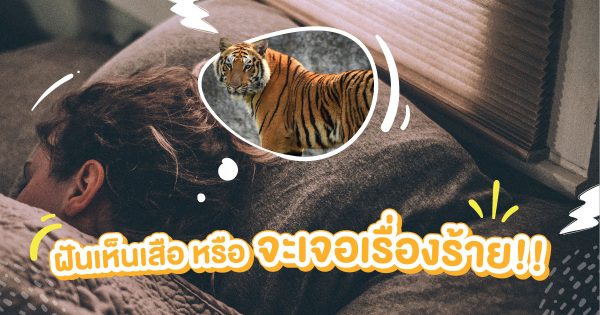 ฝันเห็นเสือ-"Dream of seeing a tiger"