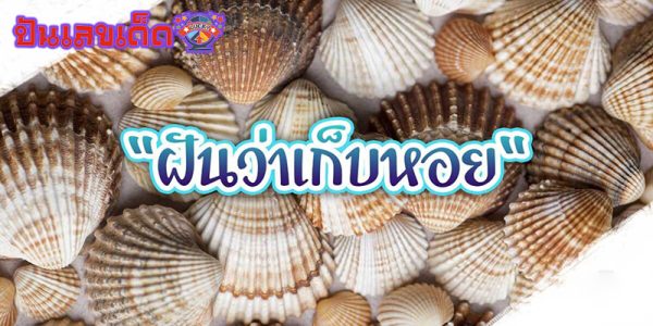 ฝันเห็นหอยเยอะมากๆ-"Dreamed of seeing a lot of snails"