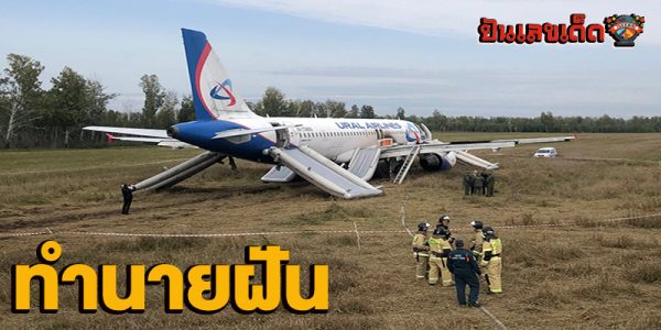ฝันเห็นเครื่องบินลงจอดกลางทุ่งนา-"Dreamed of seeing a plane land in the middle of a rice field."