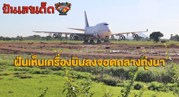 ฝันเห็นเครื่องบินลงจอดกลางทุ่งนา มีความหมายว่าอย่างไร พร้อมเลขเด็ด แม่นๆ ที่เกี่ยวกับความฝัน เช็กเลย !!