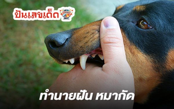 ฝันว่าโดนสุนัขกัดมือซ้าย-"Dreamed that a dog bit my left hand."