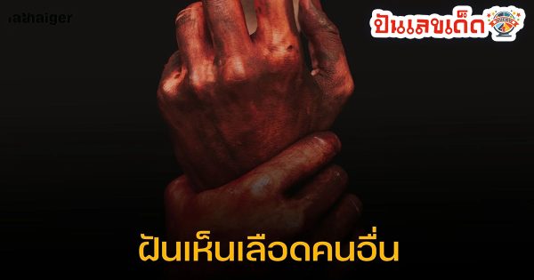 ฝันเห็นเลือดคนอื่น ทำนายว่าอย่างไร? พร้อมตีเลขเด็ด ตามความฝัน ดูคำทำนาย แม่น ๆ ได้ที่นี่ ปันเลขเด็ด
