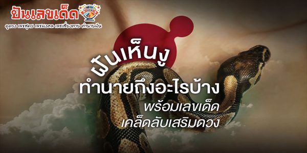 ฝันว่างูใหญ่รัดตัว ฝันเห็นงู ฝันเห็นงูใหญ่ หรือ ฝันว่างูรัด 2567 ทำนายฝันว่าอะไร เลขอะไร ??