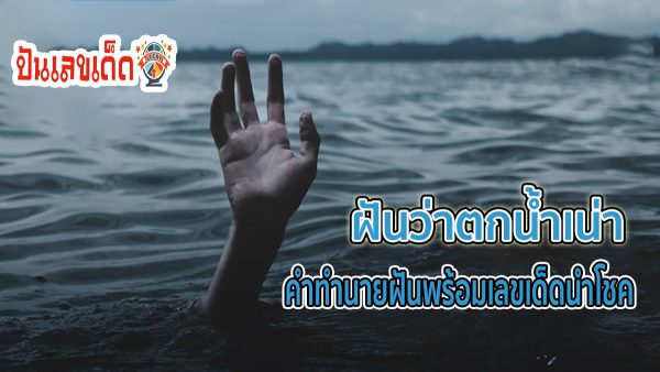 ฝันว่าตกน้ำเน่า เปิดคำทำนาย พร้อมความหมาย เลขเด็ด ทำนายฝัน พร้อมความหมาย และเลขนำโชค เช็คได้ที่นี่!! ได้ที่นี่ punlekded